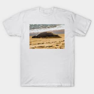 Hawaiian monk seal T-Shirt